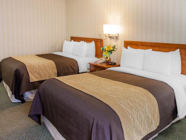 Comfort Inn Pentagon City : photo 4 de la chambre chambre 2 lits queen-size - non-fumeurs