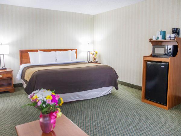 Comfort Inn Pentagon City : photo 4 de la chambre chambre lit king-size - non-fumeurs