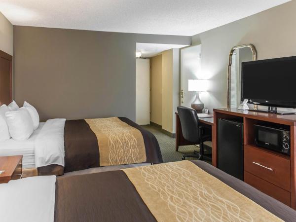 Comfort Inn Pentagon City : photo 3 de la chambre chambre 2 lits queen-size - non-fumeurs
