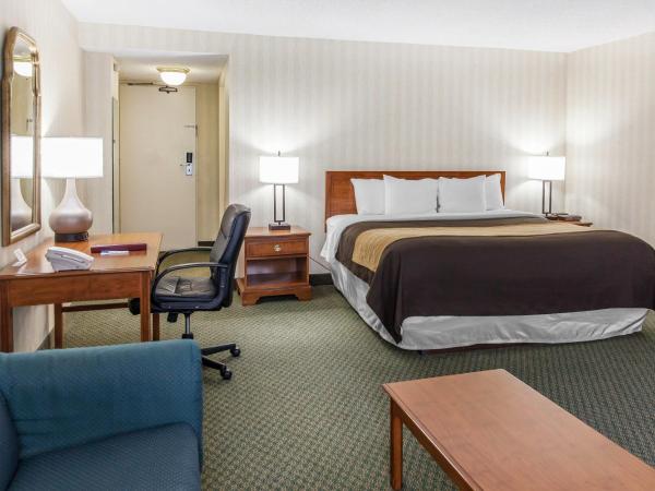 Comfort Inn Pentagon City : photo 4 de la chambre suite lit king-size avec canapé-lit - non-fumeurs