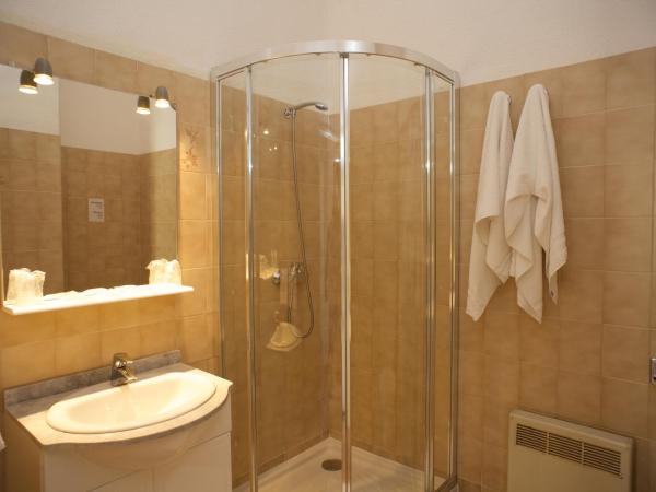 Motel le Vieux Moulin : photo 4 de la chambre studio