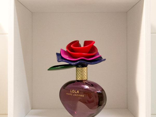 Residence Villa Ofelia : photo 6 de la chambre appartement 1 chambre avec terrasse (5 adultes)