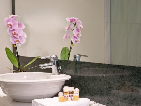 Arion Athens Hotel : photo 5 de la chambre chambre double ou lits jumeaux standard