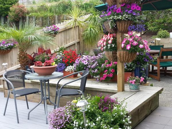 Lush & Co Auckland Bed & Breakfast : photo 5 de la chambre chambre lit king-size de luxe avec accès à la cour