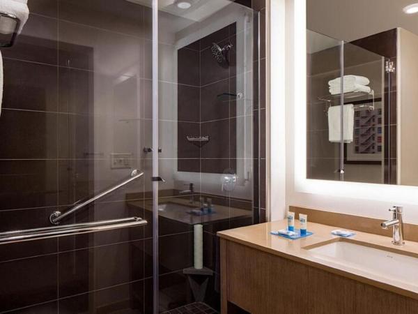 Hyatt House New Orleans Downtown : photo 9 de la chambre suite 1 chambre lit king-size avec vue