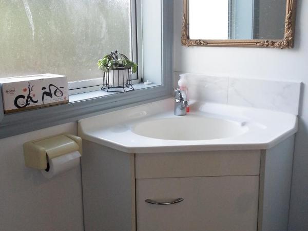 Lush & Co Auckland Bed & Breakfast : photo 2 de la chambre chambre lit king-size de luxe avec accès à la cour