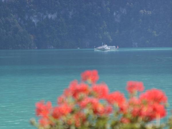 Hotel Brienzerburli : photo 5 de la chambre appartement 2 chambres