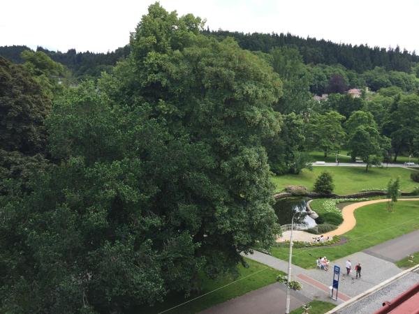 Galerie Suites : photo 6 de la chambre suite deluxe