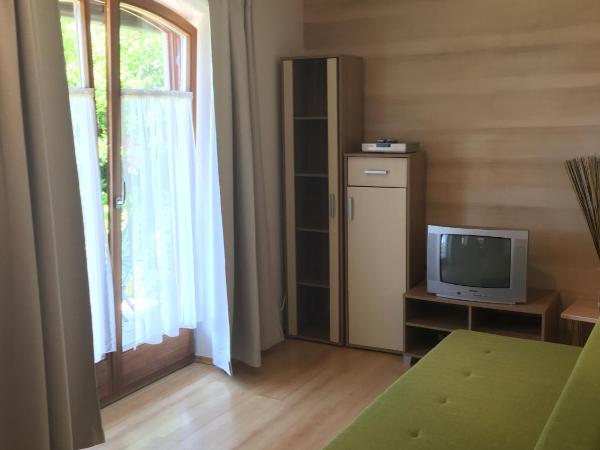 Haus Salzburgblick (ehem. Haus Elisabeth) : photo 3 de la chambre appartement avec terrasse