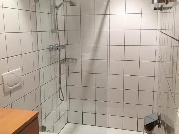 Haus Salzburgblick (ehem. Haus Elisabeth) : photo 7 de la chambre appartement avec terrasse