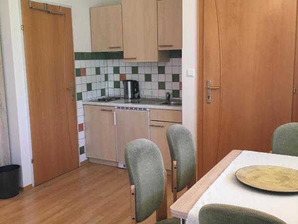 Haus Salzburgblick (ehem. Haus Elisabeth) : photo 4 de la chambre appartement avec terrasse