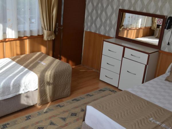 Aspawa Hotel : photo 10 de la chambre chambre triple
