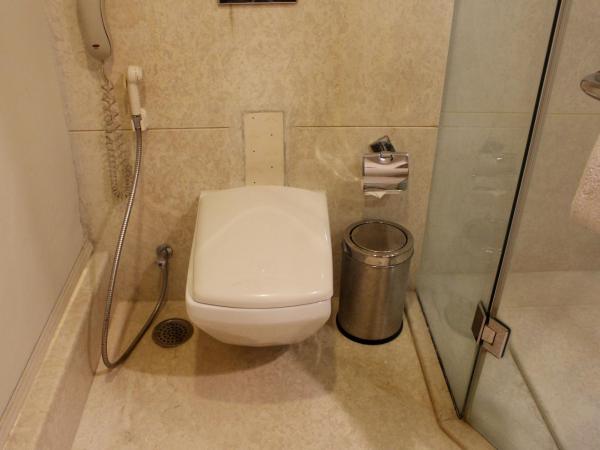 SkyCity Hotel Gurgaon : photo 7 de la chambre chambre simple deluxe