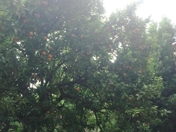 Alla Corte del Re Dimora Storica : photo 9 de la chambre chambre double