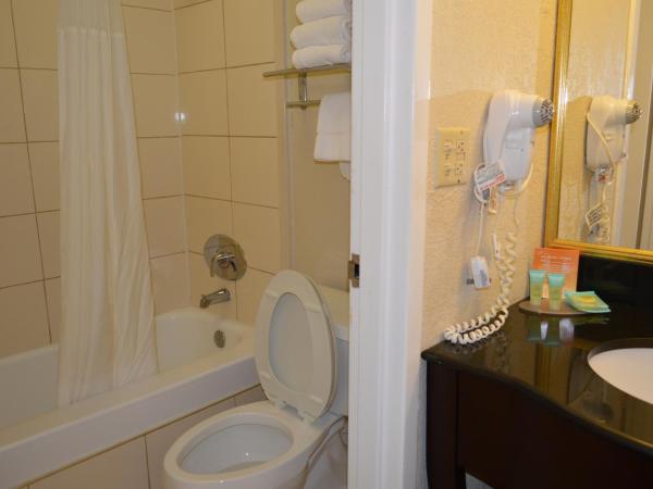 Opal Hotel & Suites : photo 3 de la chambre chambre lit king-size standard