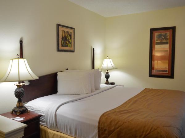 Opal Hotel & Suites : photo 2 de la chambre chambre lit king-size standard