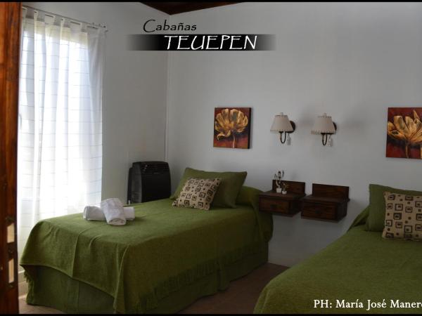 Cabañas Teuepen : photo 7 de la chambre maison 2 chambres