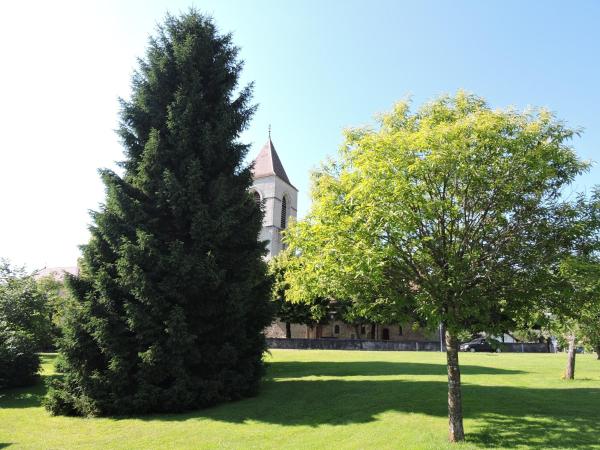 Auberge Communale de St-Légier : photo 4 de la chambre chambre lits jumeaux