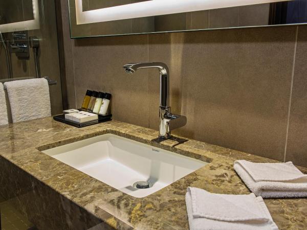 Naz City Hotel Taksim - Special Category : photo 4 de la chambre chambre double ou lits jumeaux supérieure