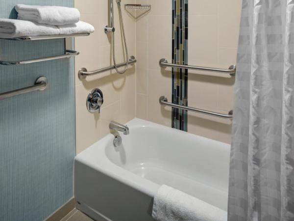 Hyatt Place Memphis Primacy Parkway : photo 8 de la chambre chambre lit king-size pour personnes à mobilité réduite avec canapé-lit et baignoire adaptée