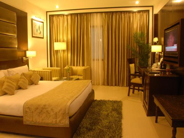 Hotel Shanti Palace Mahipalpur : photo 2 de la chambre deluxe double room with 20% discount on food and soft beverage