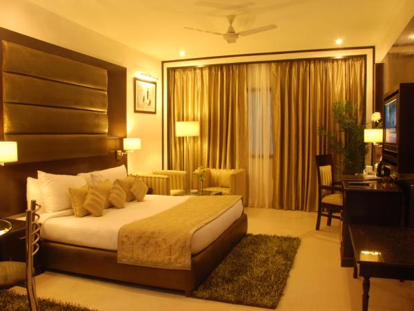 Hotel Shanti Palace Mahipalpur : photo 3 de la chambre deluxe double room with 20% discount on food and soft beverage