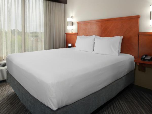 Hyatt Place Tampa Busch Gardens : photo 8 de la chambre chambre lit king-size spéciale avec canapé-lit