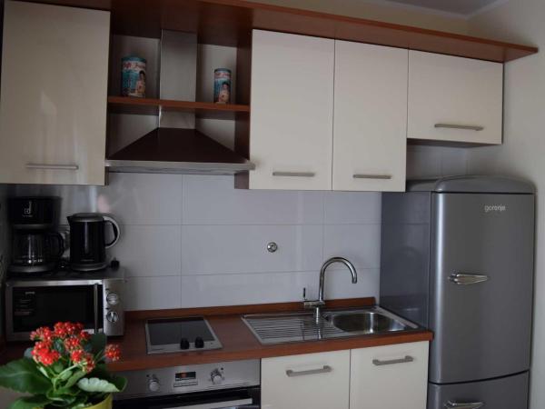 Guesthouse Marko : photo 8 de la chambre appartement avec terrasse