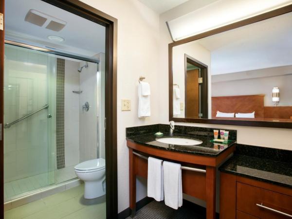 Hyatt Place Tampa Busch Gardens : photo 8 de la chambre chambre avec 2 lits doubles et canapé-lit