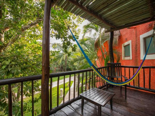 Iberostar Waves Cozumel - All Inclusive : photo 7 de la chambre chambre standard (1 adulte)