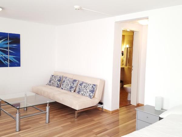 Spalenbrunnen Hotel & Restaurant Basel City Center : photo 4 de la chambre chambre double