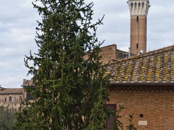 Vicolo Dell'Oro : photo 4 de la chambre chambre double avec salle de bains privative