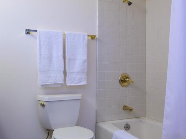 SW Hotel : photo 4 de la chambre chambre lit queen-size