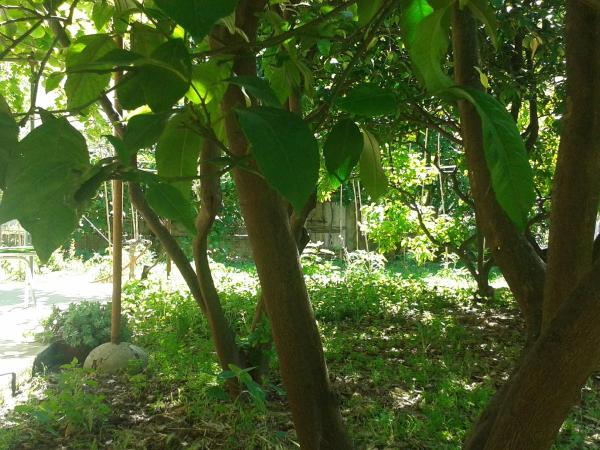 Apartment and rooms Laguna : photo 5 de la chambre chambre double