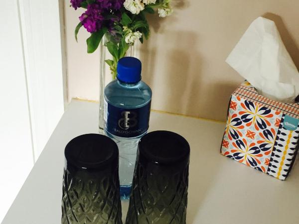 Tara Lodge Galway : photo 2 de la chambre chambre double avec salle de bains privative