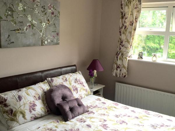 Tara Lodge Galway : photo 1 de la chambre chambre double avec salle de bains privative