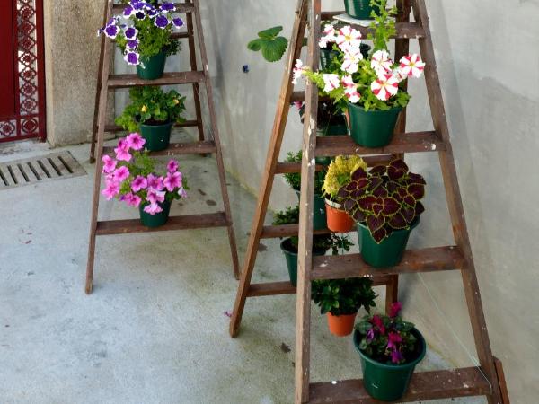 Dukes Corner Guest House : photo 4 de la chambre chambre double ou lits jumeaux - vue sur jardin