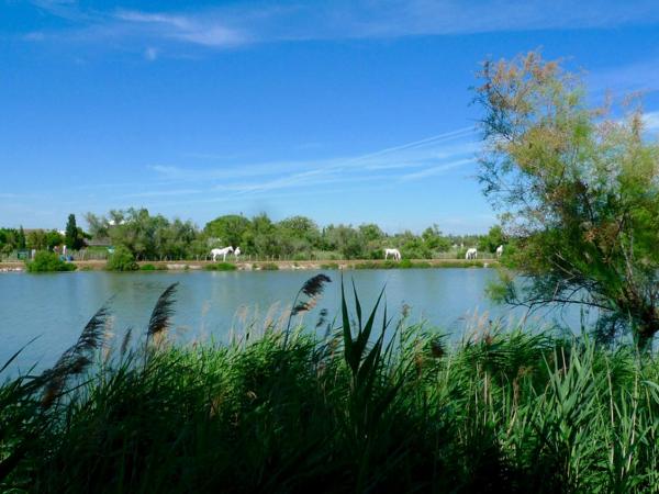 Mas des Cabidoules : photo 8 de la chambre chambre double – vue sur lac