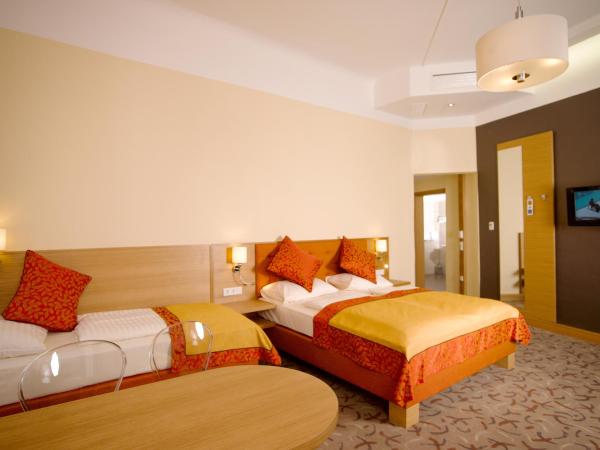 Hotel Drei Raben : photo 2 de la chambre studio