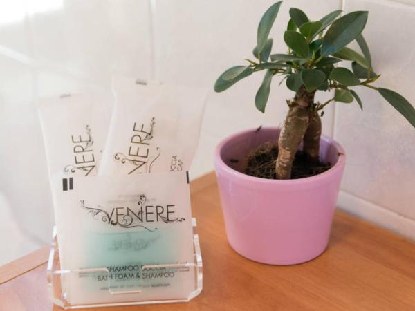 Residenza Quaggio Ca' Grimani : photo 10 de la chambre chambre double avec salle de bains privative