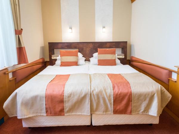 Hotel Spa Hévíz : photo 2 de la chambre chambre double classique