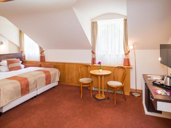 Hotel Spa Hévíz : photo 3 de la chambre chambre double Économique (mansardée)