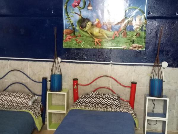 Hospedaje La Rana : photo 2 de la chambre lit simple dans dortoir mixte