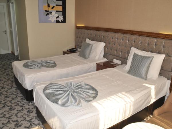 Grand Sera Hotel : photo 1 de la chambre chambre double ou lits jumeaux standard