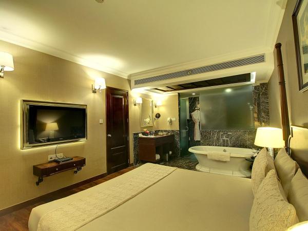 The Pllazio Hotel : photo 9 de la chambre aster suite with in room breakfast (optional),  500 rs meal credit and 2 pints of beer once during the stay, 2 pieces of laundry everyday