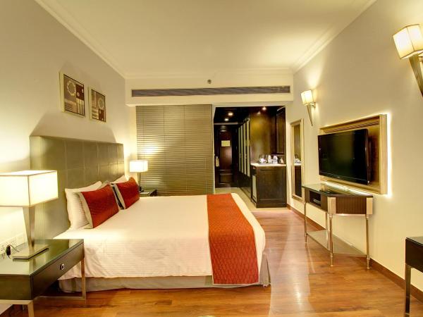 The Pllazio Hotel : photo 8 de la chambre contemporary room with 15% off on food and soft beverages 
