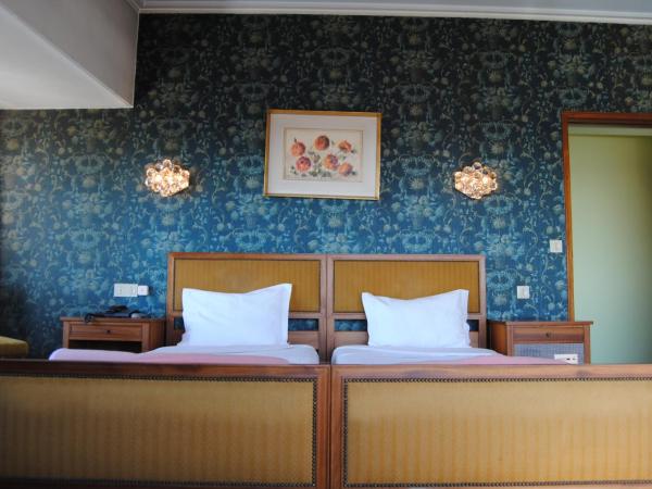 Hotel Miradouro : photo 1 de la chambre chambre double ou lits jumeaux standard