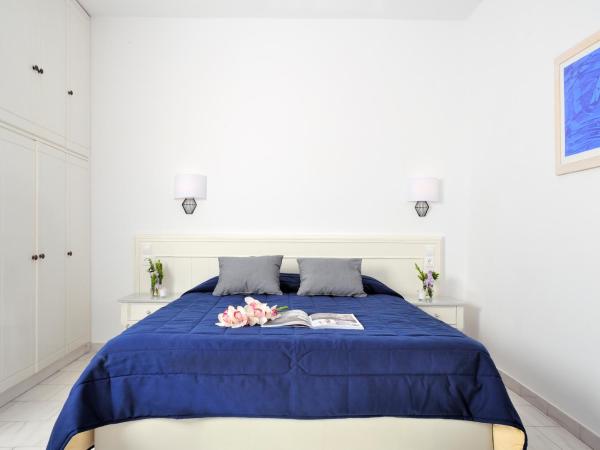 Mykonos Beach Hotel : photo 1 de la chambre chambre double deluxe - vue sur mer