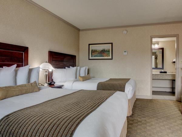 Best Western PLUS City Centre Inn : photo 7 de la chambre chambre standard avec 2 lits queen-size