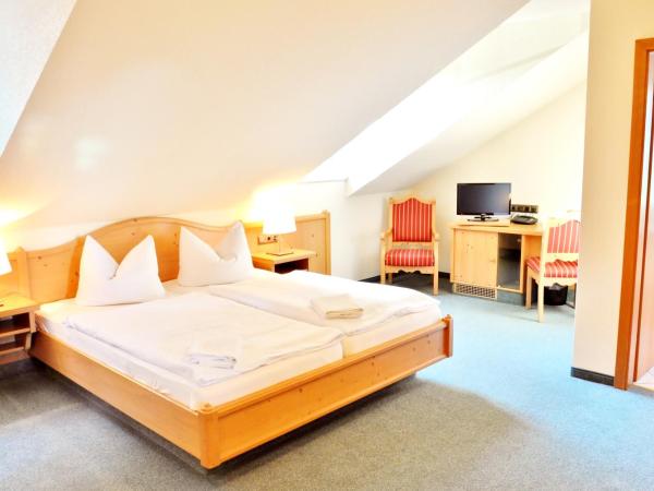 Hotel Alttolkewitzer Hof : photo 1 de la chambre suite familiale